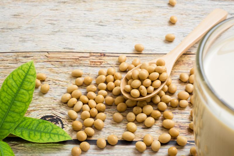 Straight Talk About Soy, The Nutrition Source