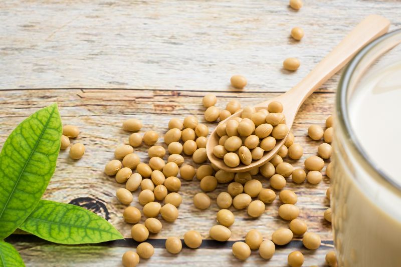 Soy and Phytoestrogens: Exploring the Benefits, Myths, and Facts